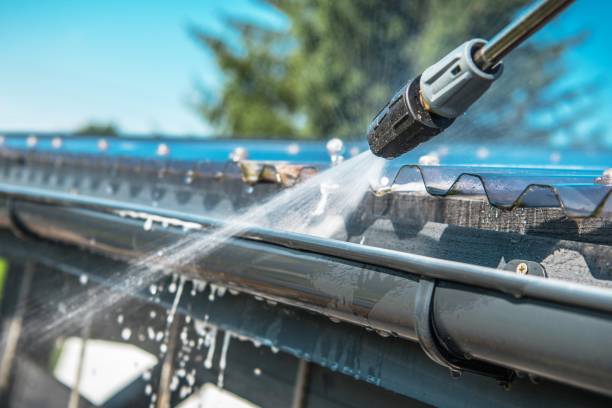 Best Exterior Home Cleaning  in St Paul Park, MN
