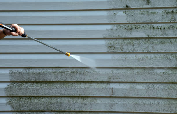 Best Roof Power Washing Services  in St Paul Park, MN