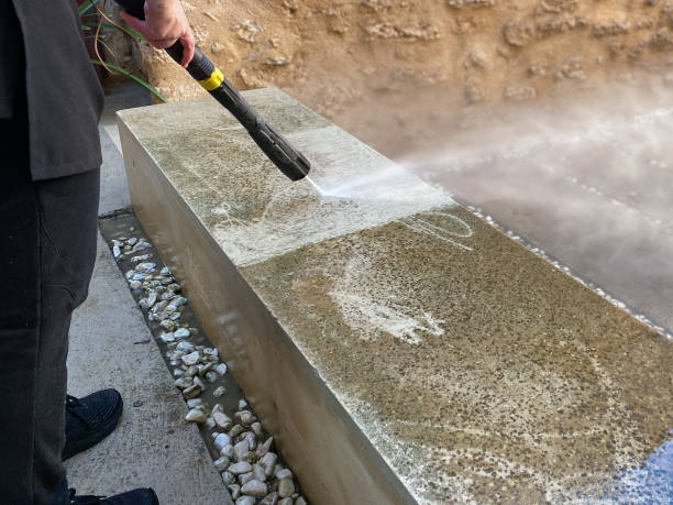 Best Fence Pressure Washing  in St Paul Park, MN